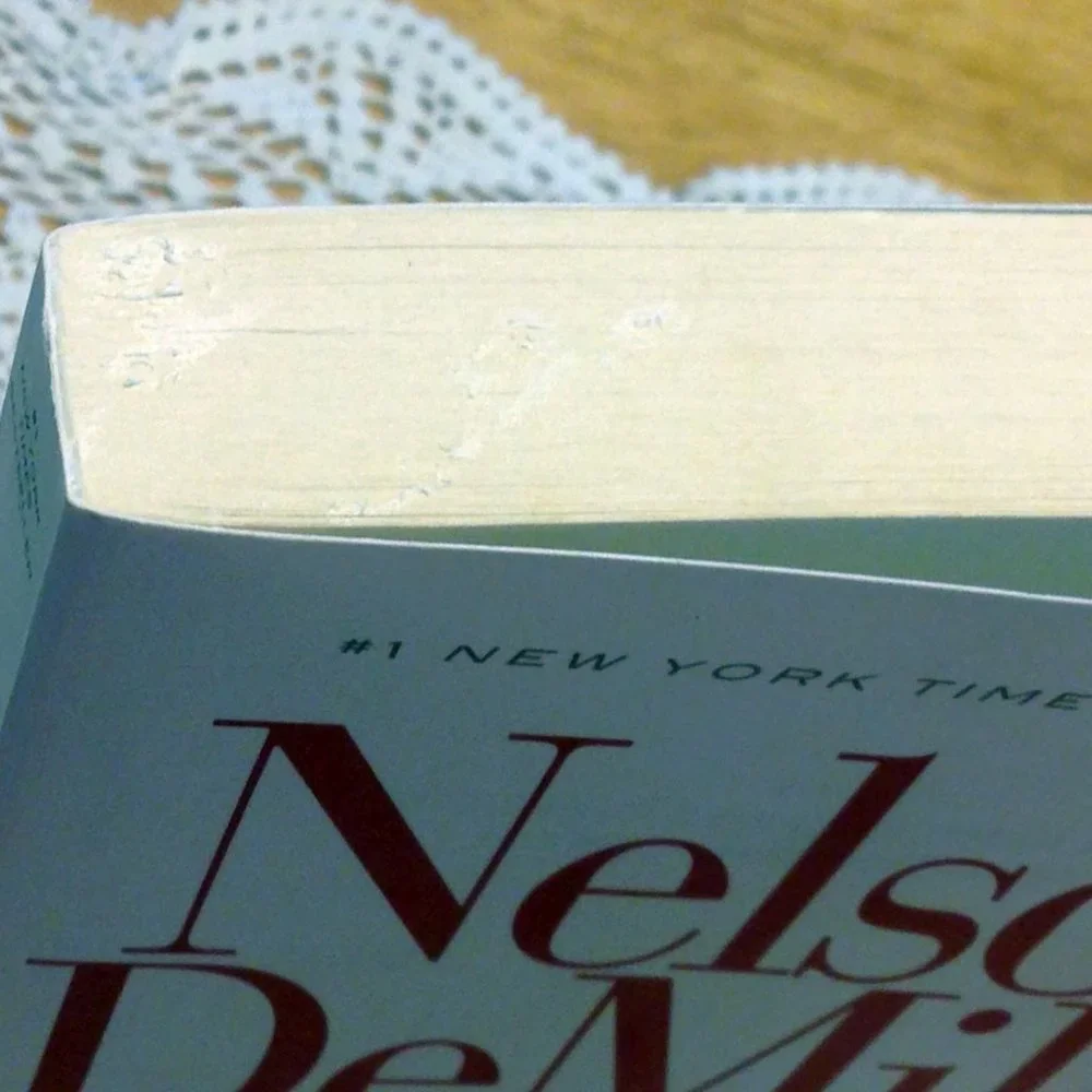 Book Sale! 3 for $10! Military Thriller - Radiant Angel, Nelson DeMille